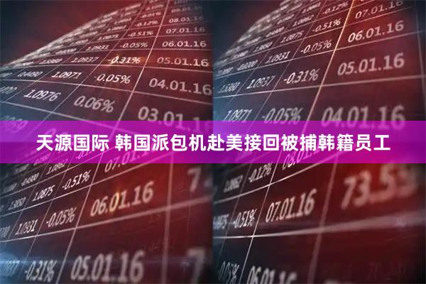 天源国际 韩国派包机赴美接回被捕韩籍员工