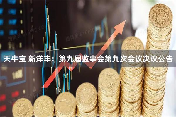 天牛宝 新洋丰：第九届监事会第九次会议决议公告