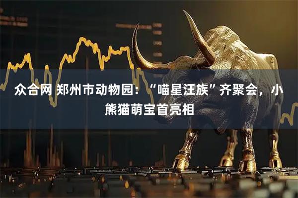 众合网 郑州市动物园：“喵星汪族”齐聚会，小熊猫萌宝首亮相