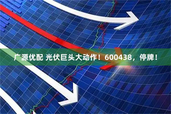 广源优配 光伏巨头大动作！600438，停牌！